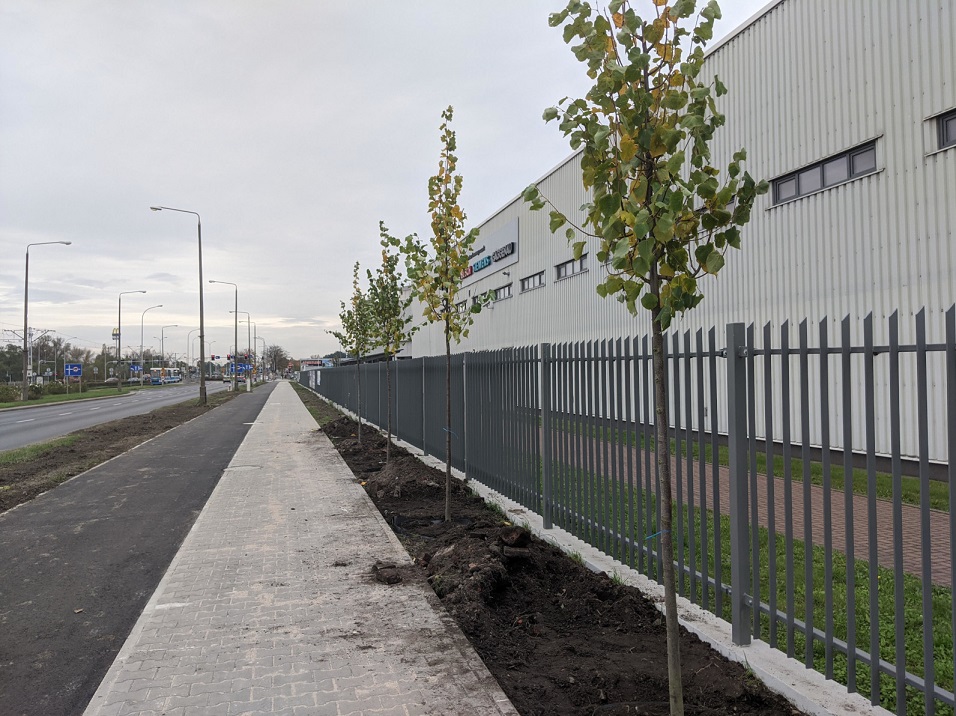 100 drzew i 600 metrów ścieżki rowerowej i chodnika