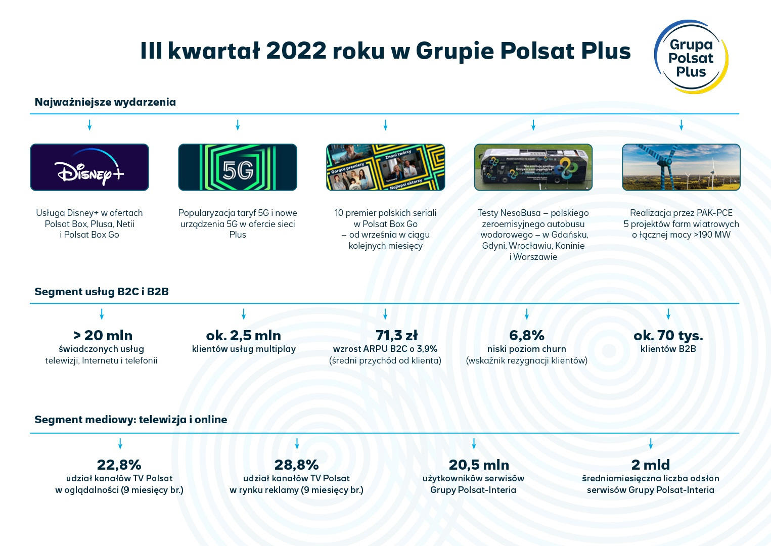 Segment usług